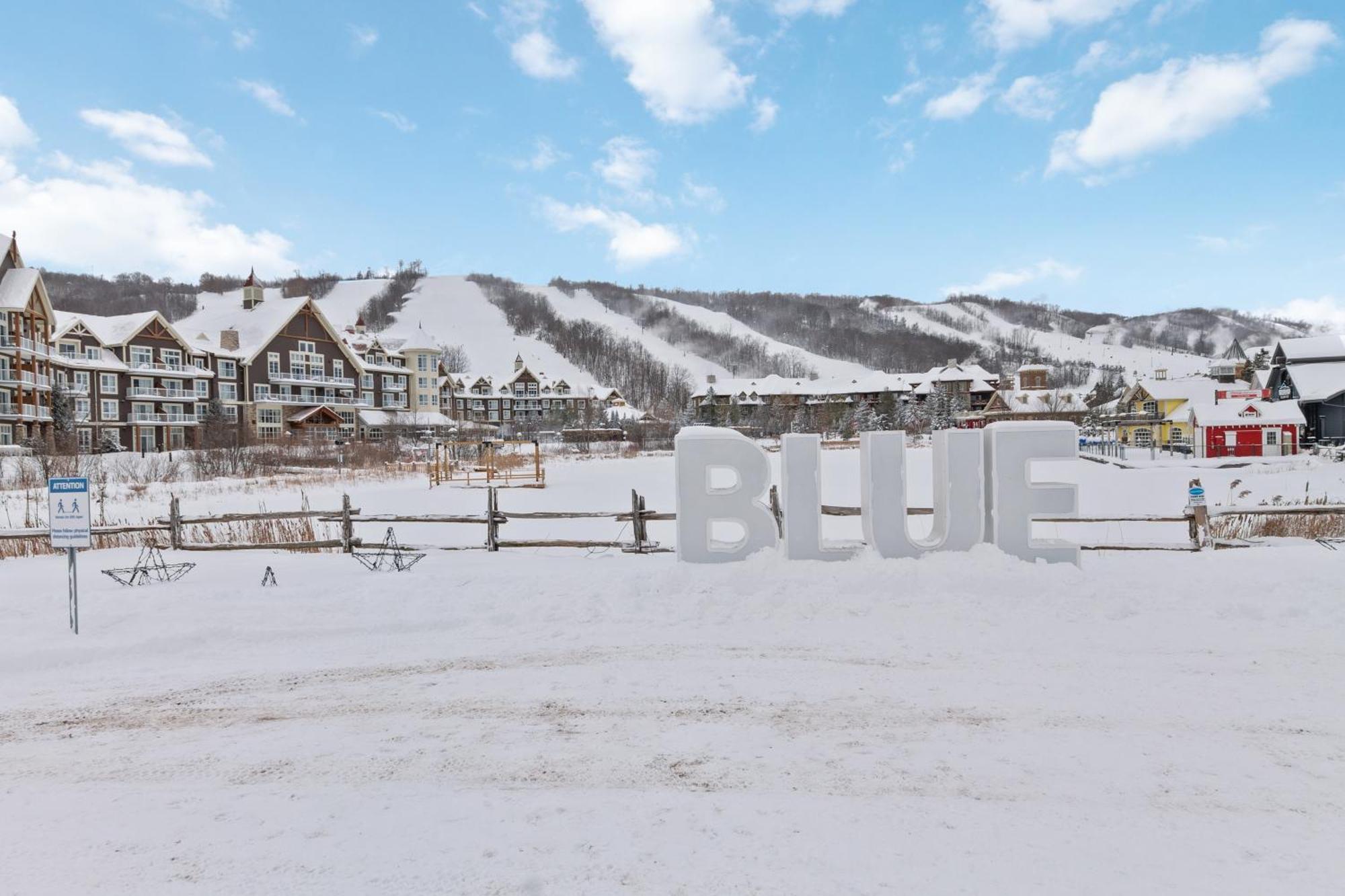 Lovely 3 Bedroom Wintergreen Retreat W Sauna Blue Mountains Kültér fotó